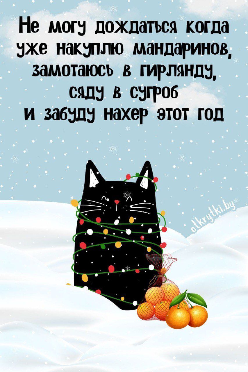 Не могу дождаться когда уже накуплю мандаринов, замотаюсь в гирлянду, сяду в сугроб и забуду нахер этот год