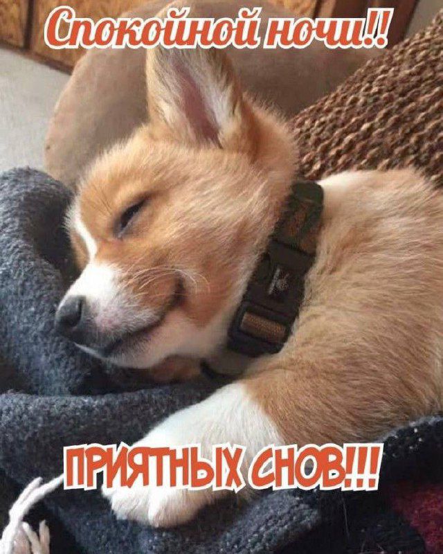 Спокойной ночи!! Приятных снов!!!