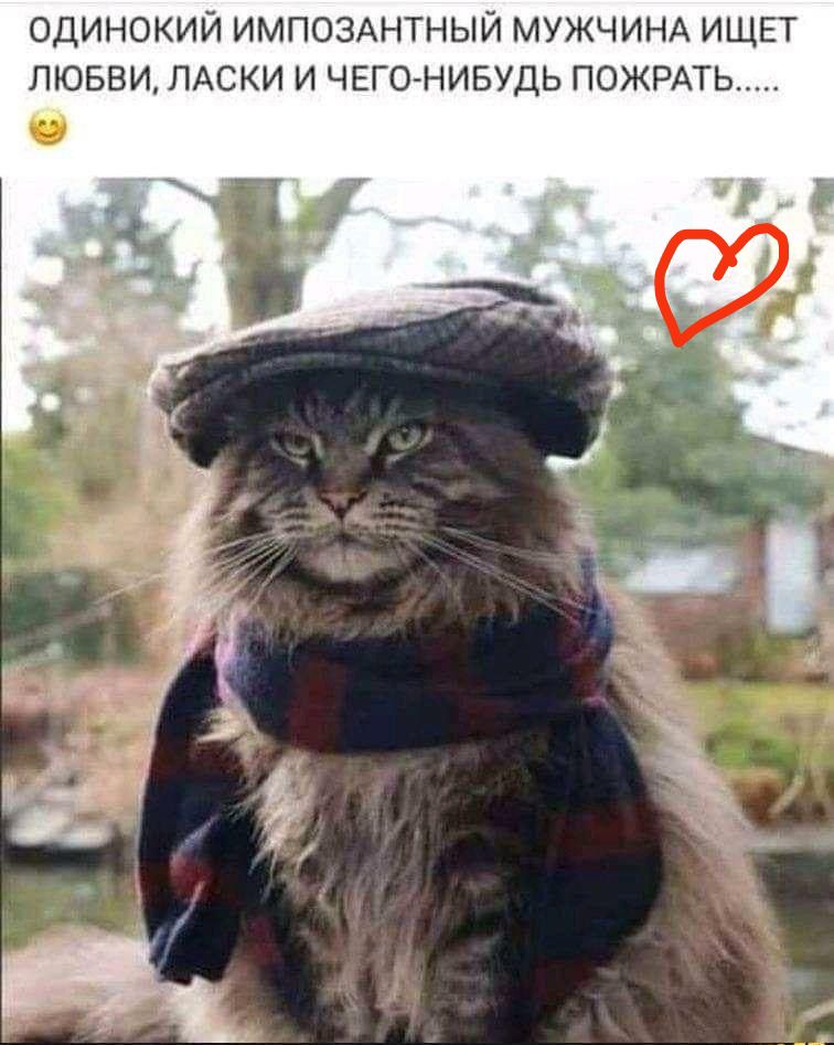 ОДИНОКИЙ ИМПОЗАНТНЫЙ МУЖЧИНА ИЩЕТ ЛЮБВИ, ЛАСКИ И ЧЕГО-НИБУДЬ ПОЖРАТЬ...... 😊