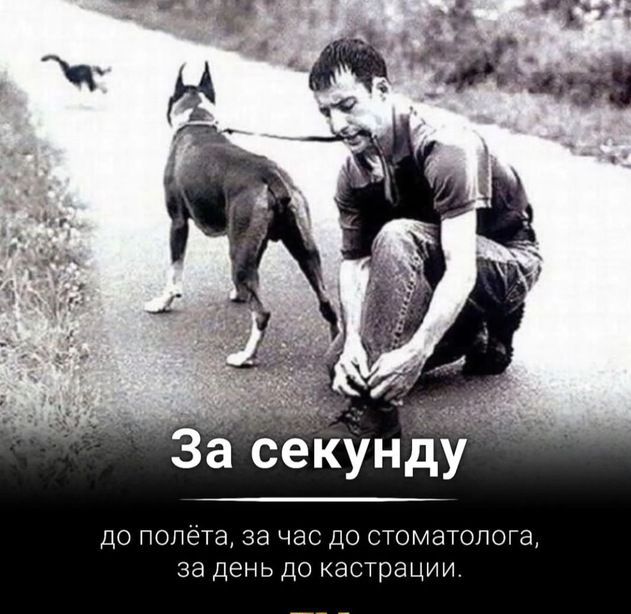 За секунду до полёта, за час до стоматолога, за день до кастрации.