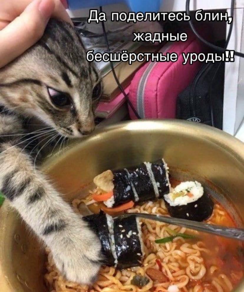 Да поделитесь блин, жадные бесшёрстные уроды!!