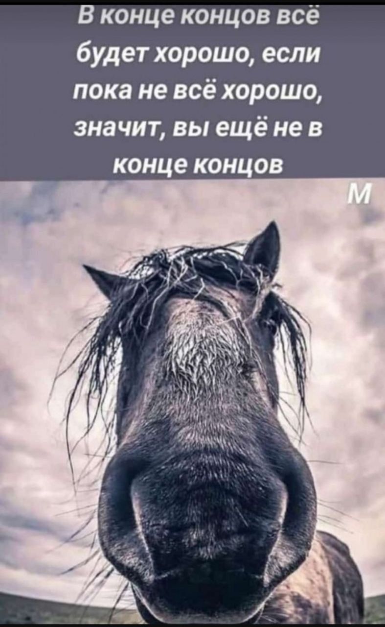 В конце концов всё будет хорошо, если пока не всё хорошо, значит, вы ещё не в конце концов