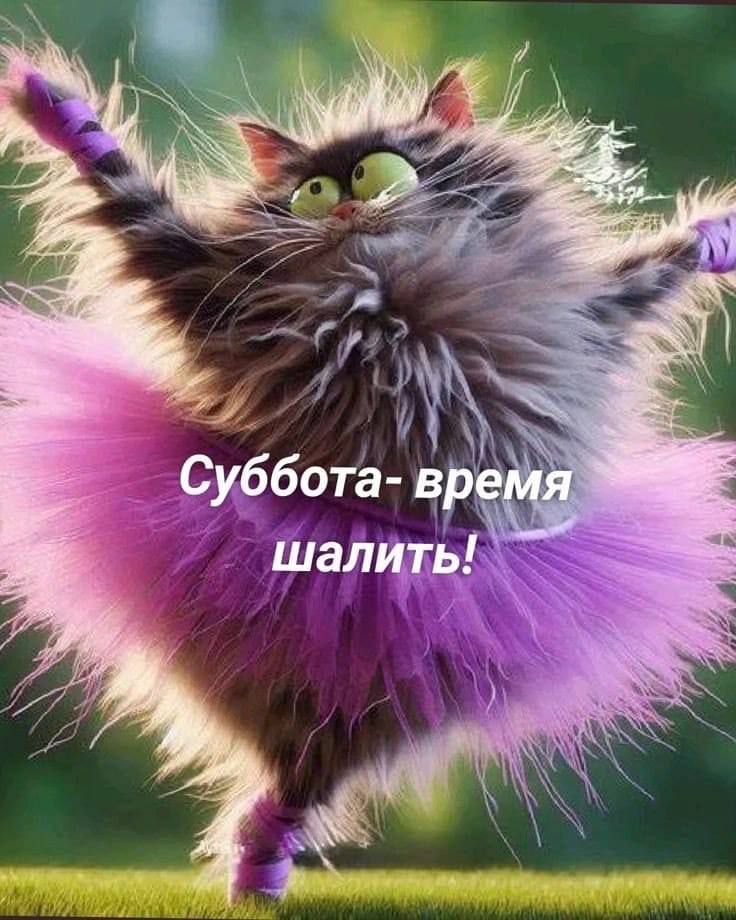 Суббота- время шалить!