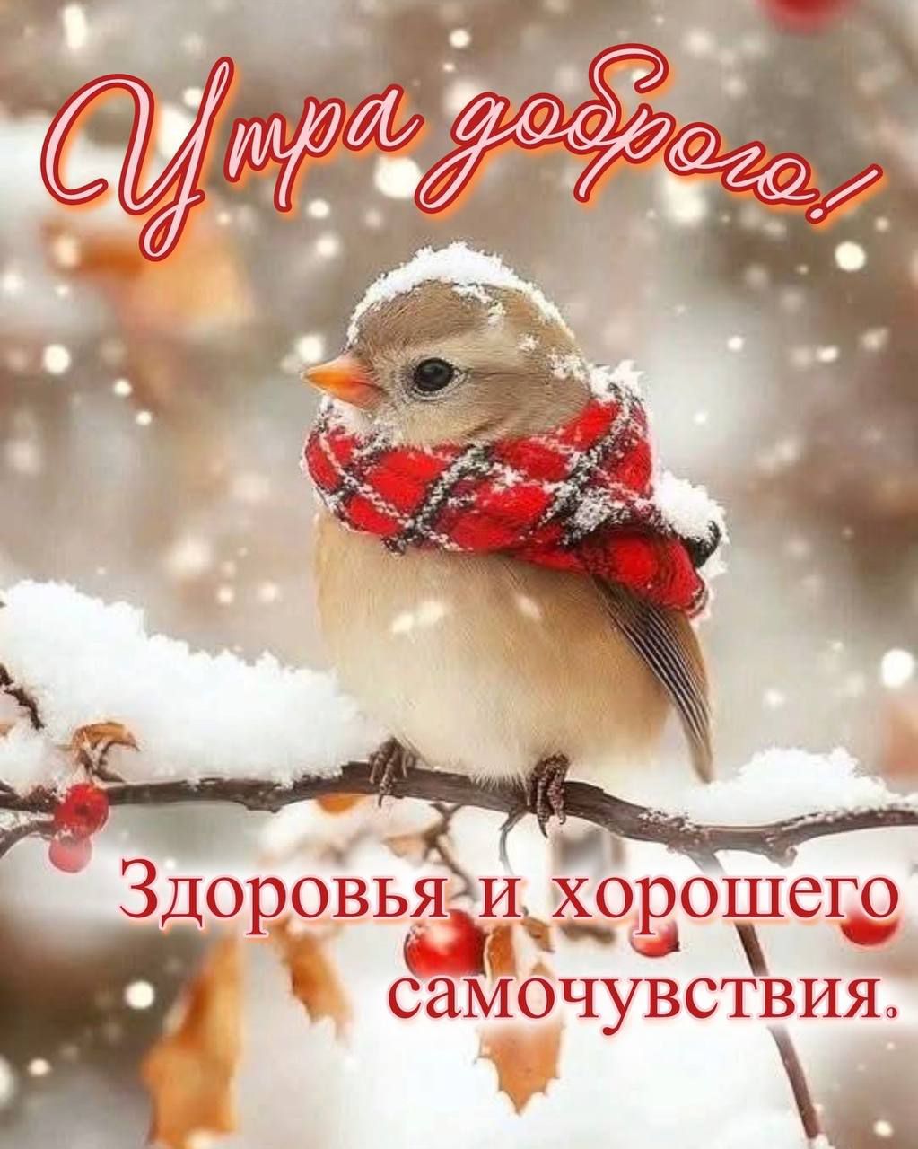 Утро доброе!
Здоровья и хорошего самочувствия.