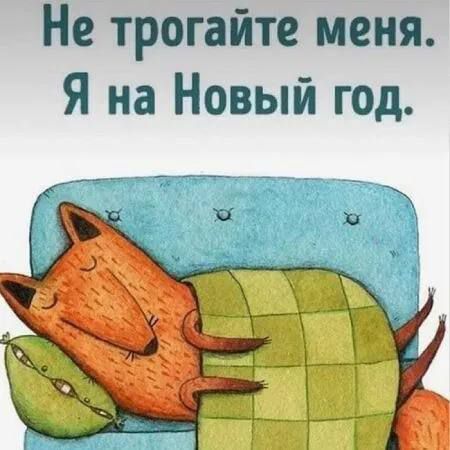 Не трогайте меня. Я на Новый год.