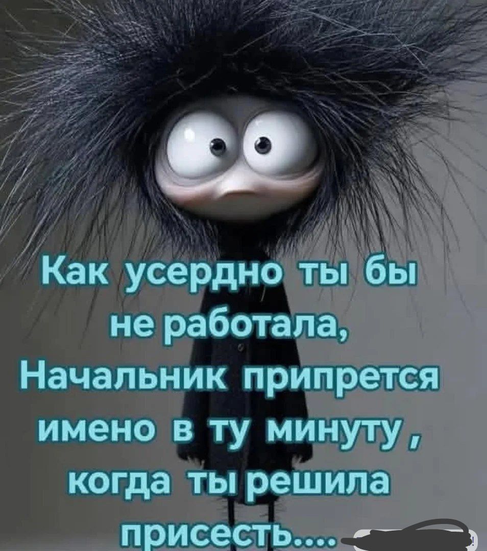 Как усердно ты бы не работала, Начальник припрется именно в ту минуту, когда ты решила присесть....