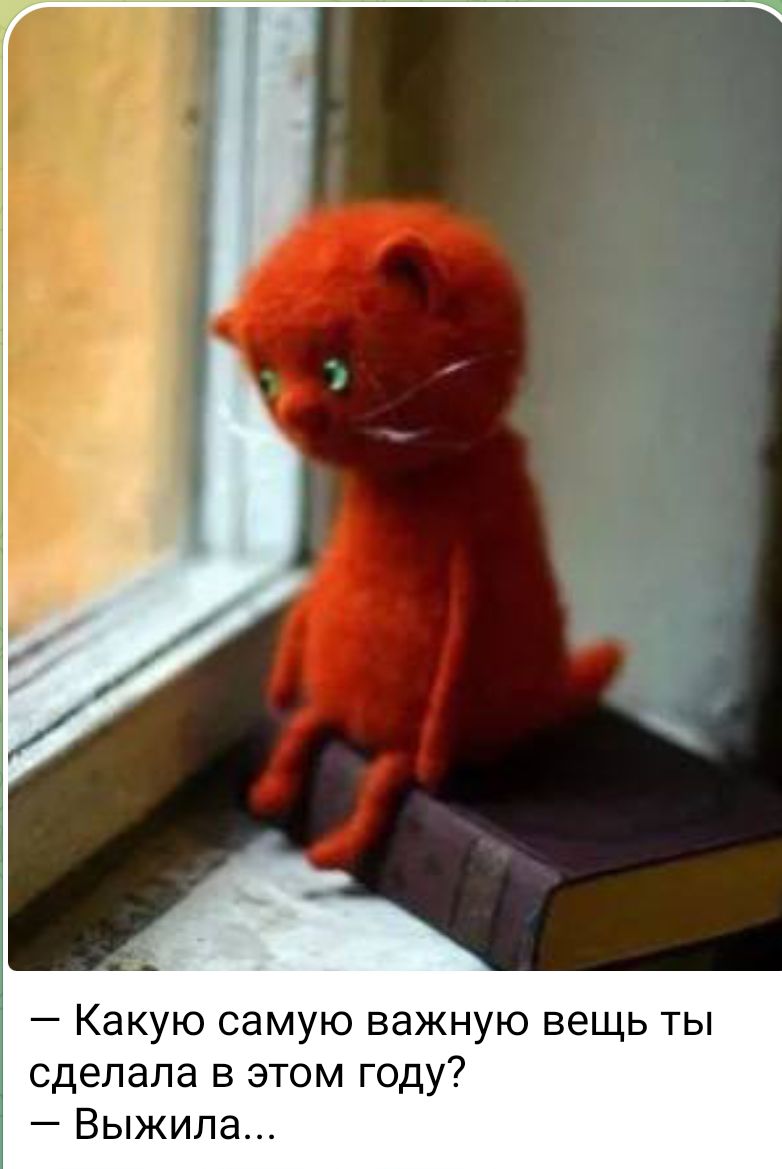 — Какую самую важную вещь ты сделала в этом году? — Выжила...