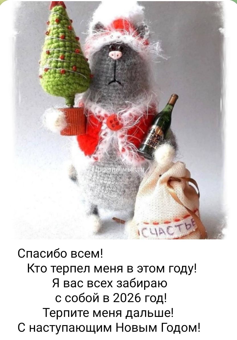 Спасибо всем! Кто терпел меня в этом году! Я вас всех забираю с собой в 2026 год! Терпите меня дальше! С наступающим Новым Годом!