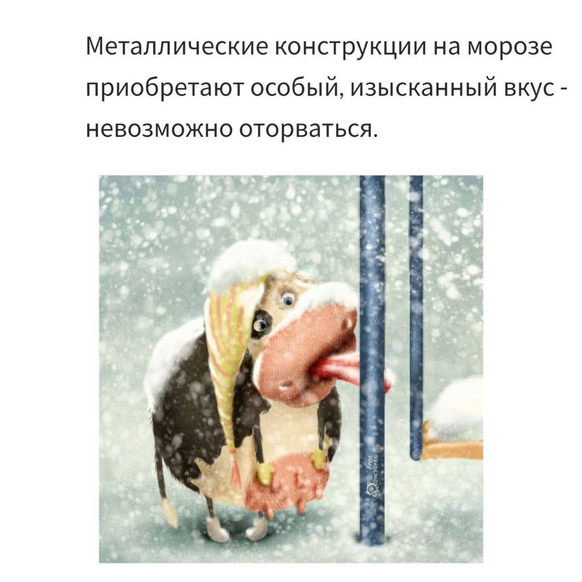 Металлические конструкции на морозе приобретают особый, изысканный вкус - невозможно оторваться.