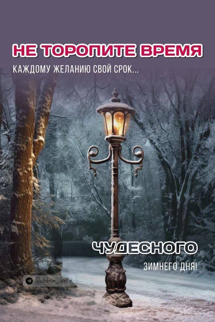 НЕ ТОРОПИТЕ ВРЕМЯ\nКАЖДОМУ ЖЕЛАНИЮ СВОЙ СРОК...\nЧУДЕСНОГО ЗИМНЕГО ДНЯ!