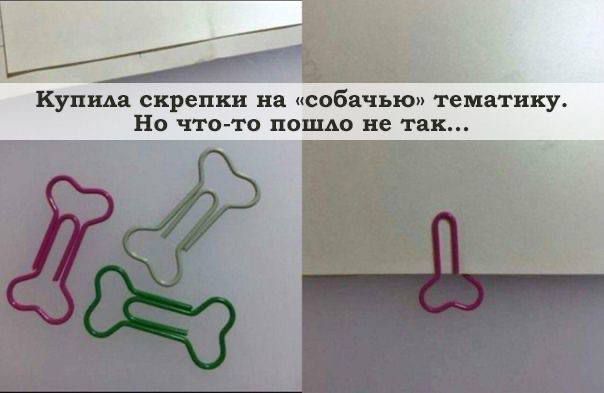 Купила скрепки на «собачью» тематику. Но что-то пошло не так...