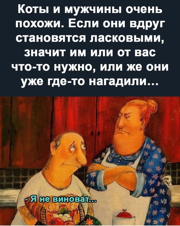 Коты и мужчины очень похожи. Если они вдруг становятся ласковыми, значит им или от вас что-то нужно, или же они уже где-то нагадили... - Я не виноват...