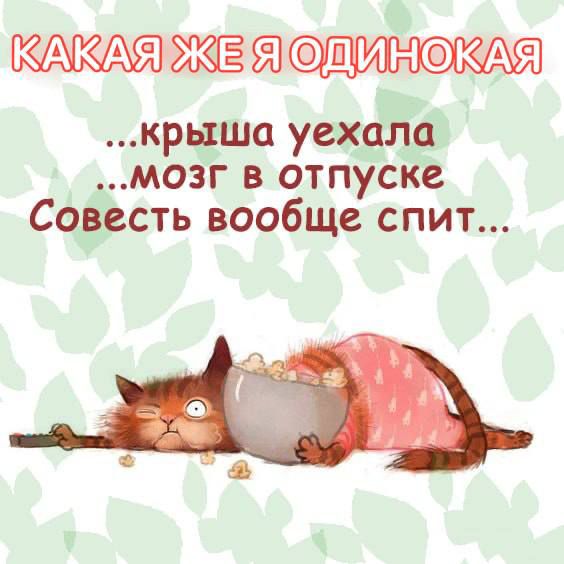 КАКАЯ ЖЕ Я ОДИНОКАЯ ...крыша уехала ...мозг в отпуске Совесть вообще спит...