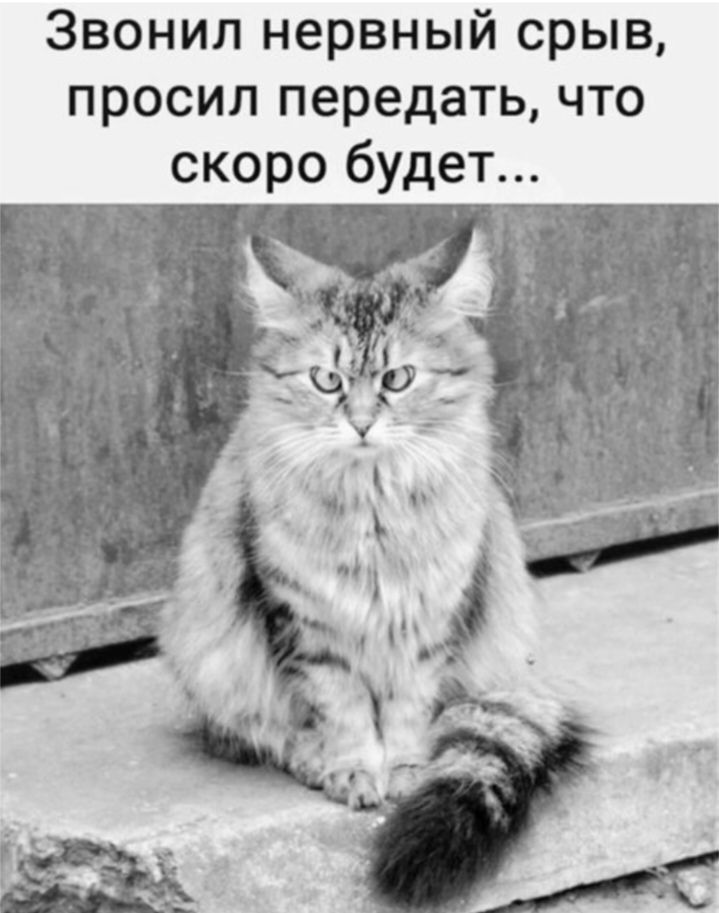 Звонил нервный срыв, просил передать, что скоро будет...