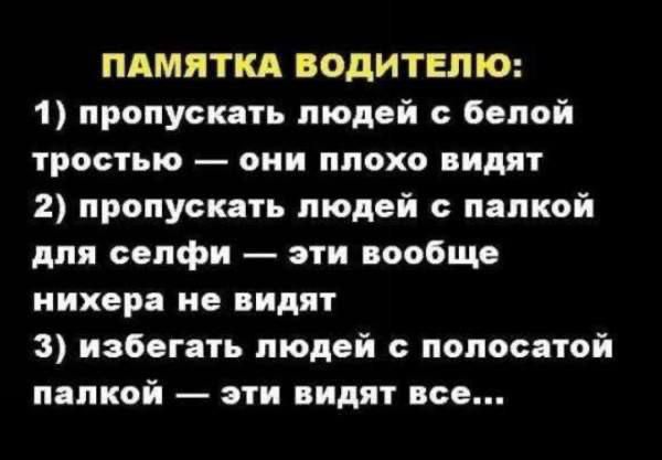 ПАМЯТКА ВОДИТЕЛЮ: 1) пропускать людей с белой тростью — они плохо видят 2) пропускать людей с палкой для селфи — эти вообще нихера не видят 3) избегать людей с полосатой палкой — эти видят все...