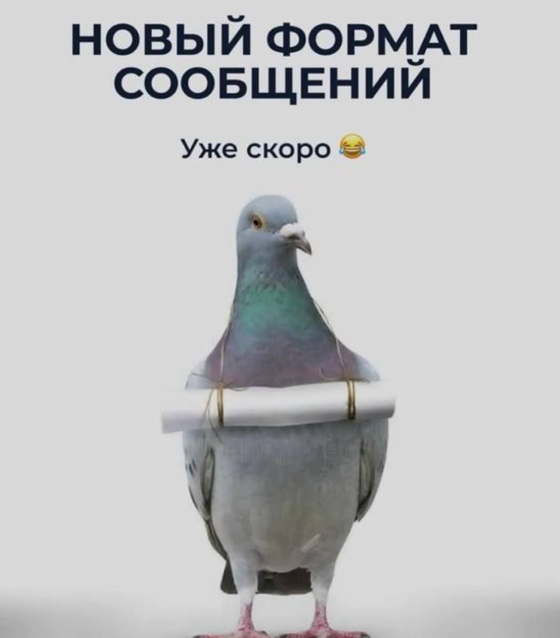 НОВЫЙ ФОРМАТ СООБЩЕНИЙ Уже скоро 😂