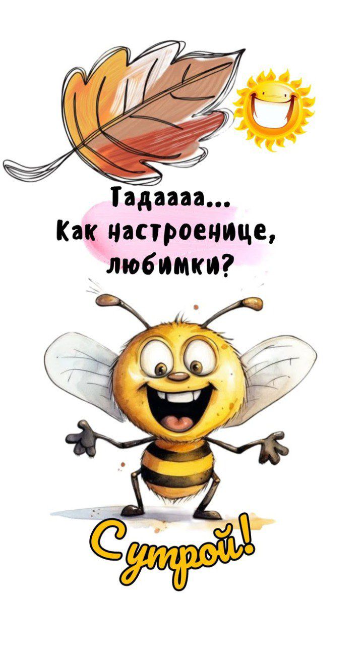 Тадааа... Как настроение, любимки? С утром!