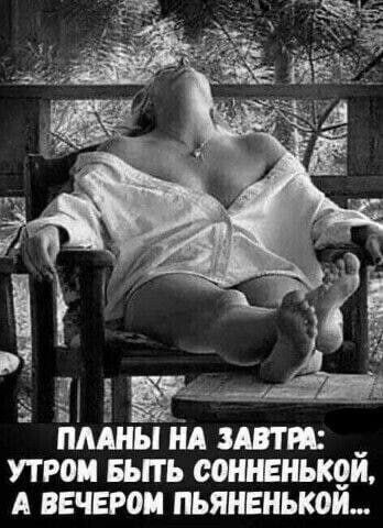 ПЛАНЫ НА ЗАВТРА: УТРОМ БЫТЬ СОННЕНЬКОЙ, А ВЕЧЕРОМ ПЬЯНЕНЬКОЙ...