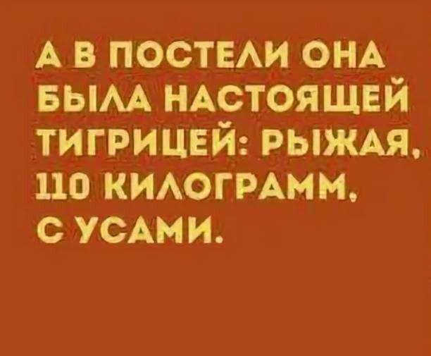 А в постели она была настоящей тигрицей: рыжая, 110 килограмм, с усами.
