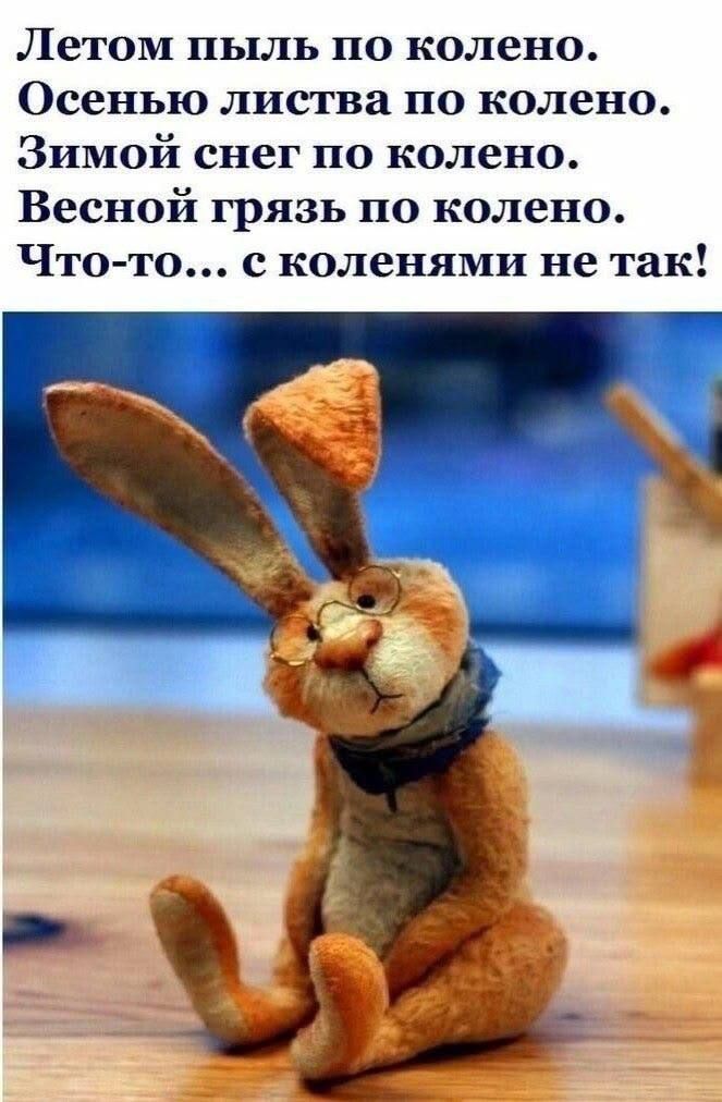 Летом пыль по колено. Осенью листва по колено. Зимой снег по колено. Весной грязь по колено. Что-то... с коленями не так!