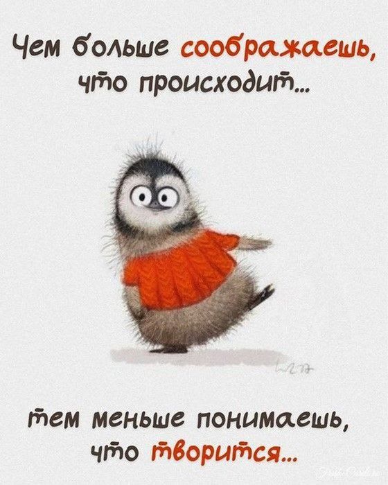 Чем больше соображаешь, что происходит... тем меньше понимаешь, что творится...