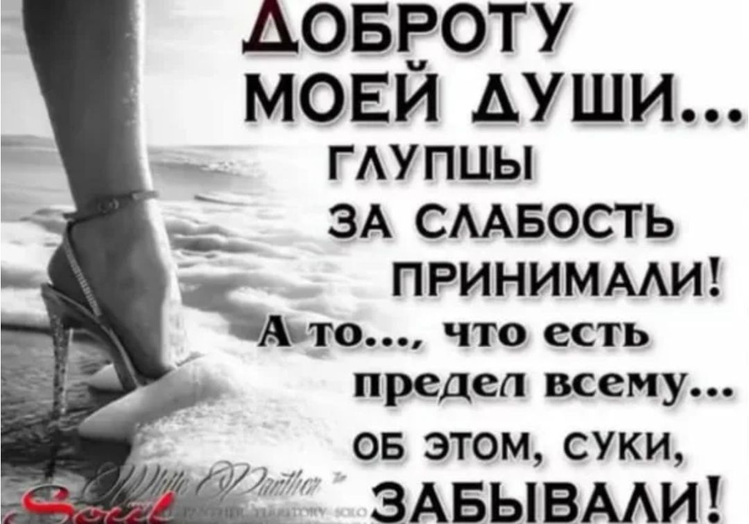 ДОБРОТУ МОЕЙ ДУШИ... ГЛУПЦЫ ЗА СЛАБОСТЬ ПРИНИМАЛИ! А ТО..., ЧТО ЕСТЬ ПРЕДЕЛ ВСЕМУ... ОБ ЭТОМ, СУКИ, ЗАБЫВАЛИ!