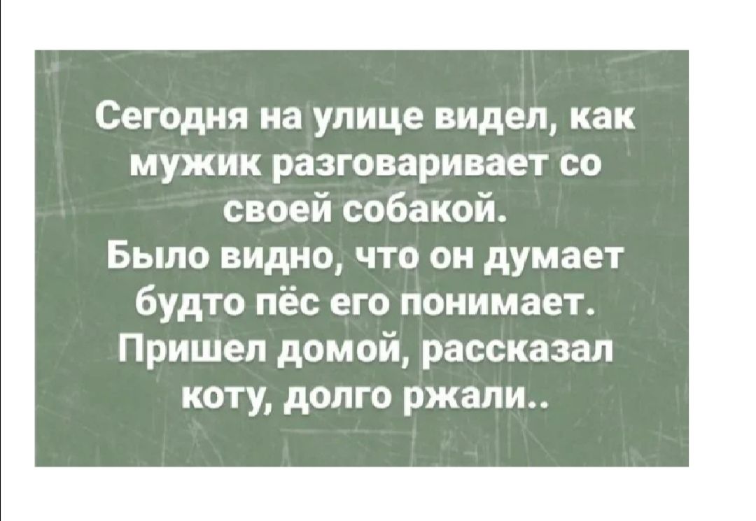 Сегодня на улице видел как МУЖИК разговаривает со своей собакой Было видно что он думает будто пёс его понимает Пришел домой рассказал коту долго ржали