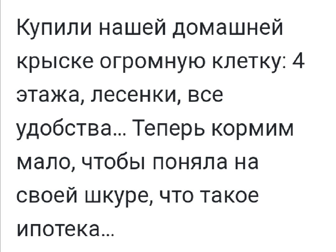 Купили нашей домашней крыске огромную клетку 4 этажа лесенки все удобства Теперь кормим мало чтобы поняла на своей шкуре что такое ипотека