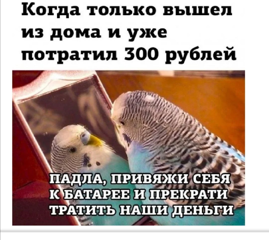 Когда только вышел из дома и уже потратил 300 рублей ПА привяЖи свыз  пдіэАтдгвв и пЪёішАти трдтить НАШИ двньги - выпуск №1805055