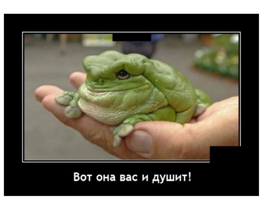 Вот она нас и душит