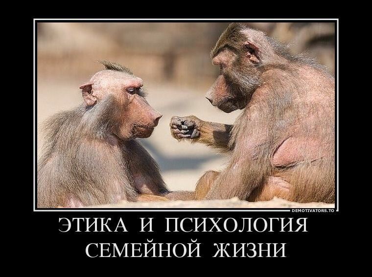 ТИКА и психологи СЕМЕЙНОЙ жизни