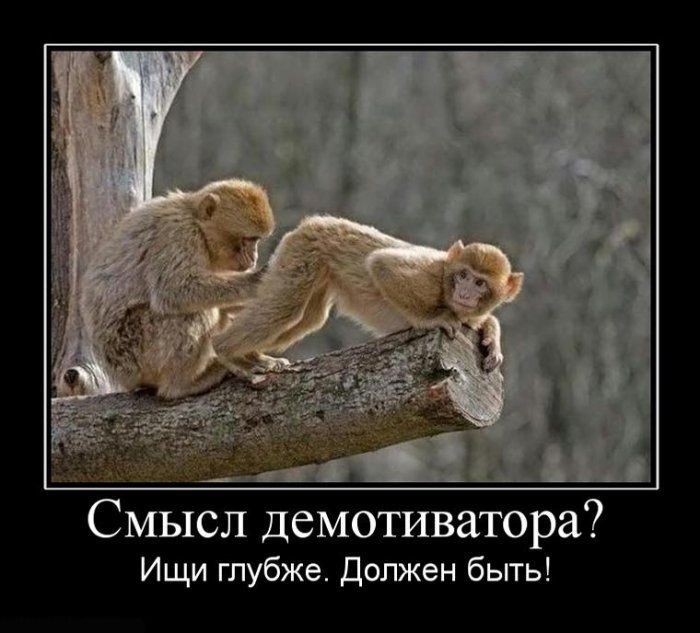Смысл демотиватора Ищи глубже должен бьггь