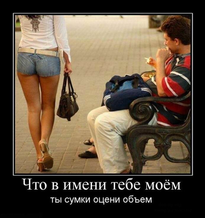 Что в имени тебе моём ты сумки оцени объем