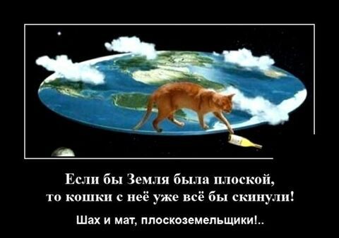 Если бы Земля были плоский то кошкі с неё уже всё бы Шах и мн пластилин шипы