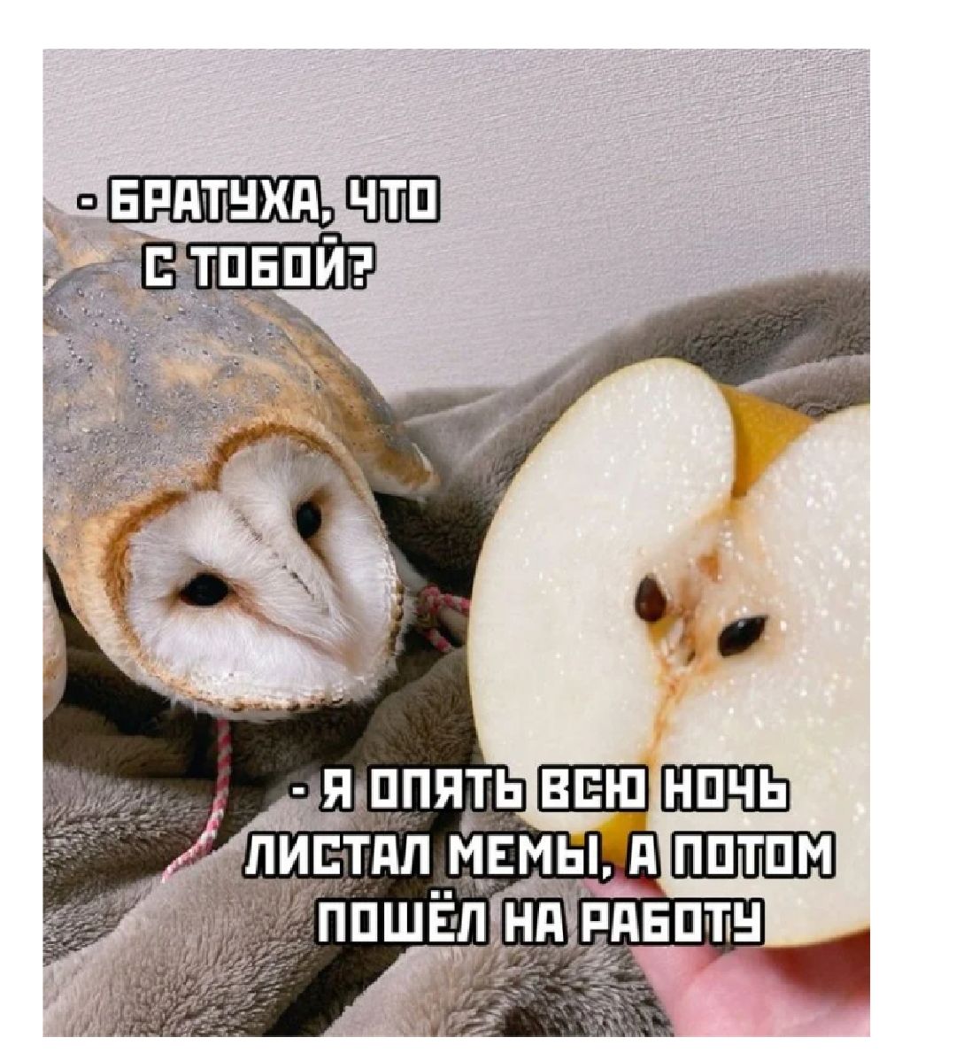 _Рдтнкн_ т