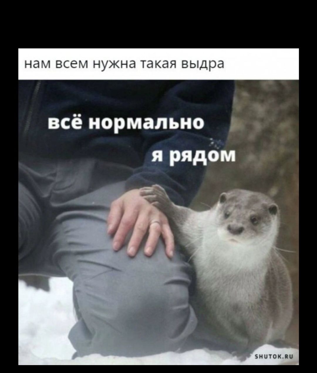 всё нормально я рядом