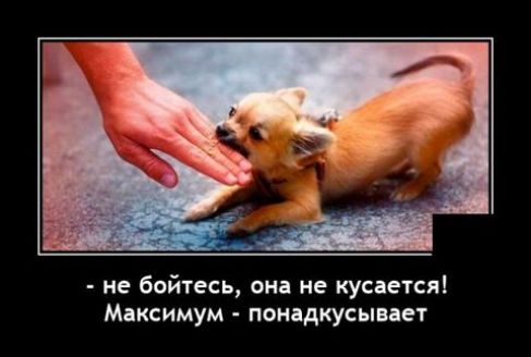 не бойтесь она не кусается Мдксимум понддкусыпет