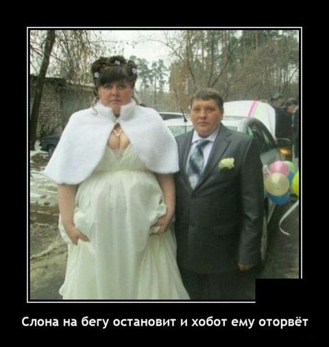 Слима на бегу остановит и хабы ему щорвёг