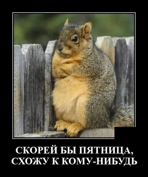 СКОРЕЙ БЫ ПЯТНИЦА СХОЖУ К КОМУ НИБУДЬ
