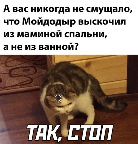 А вас никогда не смущало что Мойдодыр выскочил из маминой спальни а не из ванной т ТПК Е ТПП