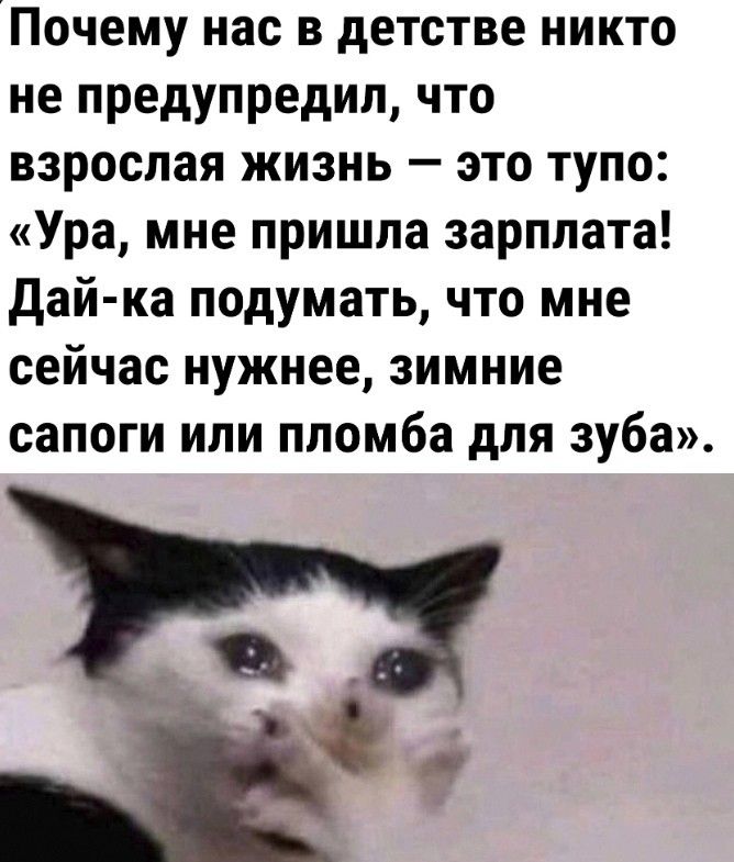 Почему нас в детстве никто не предупредил что взрослая жизнь это тупо Ура мне пришла зарплата дай ка подумать что мне сейчас нужнее зимние сапоги или пломба для зуба