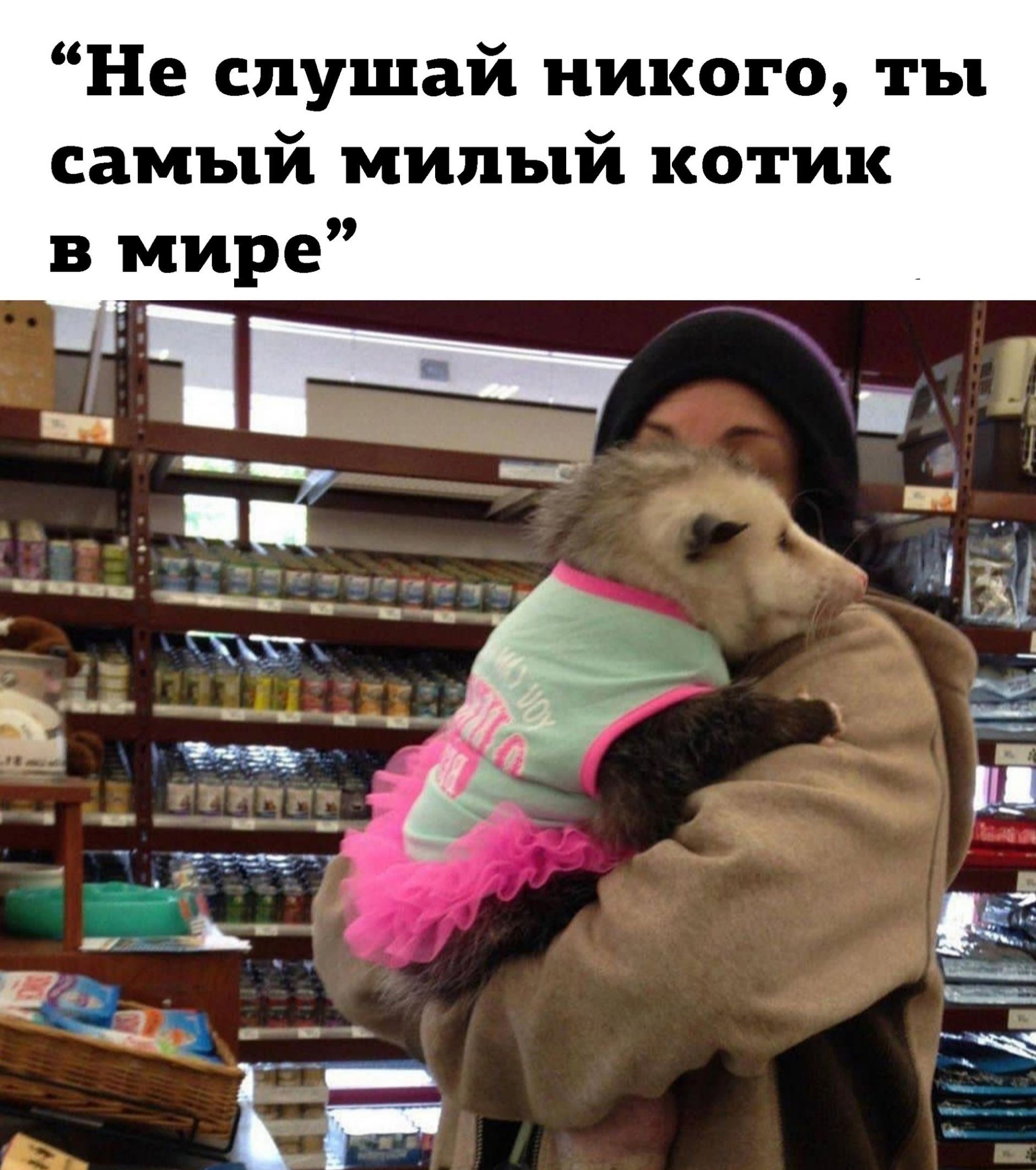 Не слушай никого ты самый милый котик