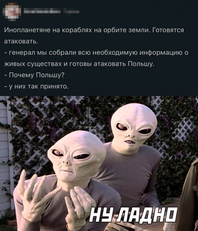 Инопланетяне на кораблях на арбитв земли Готовятся атаковать генерал мы собрали всю необходимую информацию о живых существах и готовы атзкпвать Польшу Почему Подьшу у них Пк принята