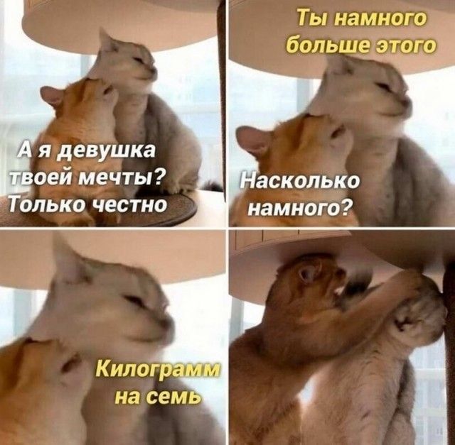 я девушка оей мечты опько честно аскалько намного