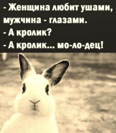 Женщина Аюбкт ушами иужчкиа глазами А кролик А кролик ио ю дец