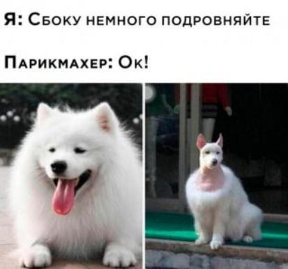 Я Своку немного подровняйтв ПАРИКМАХЕР Ок М и