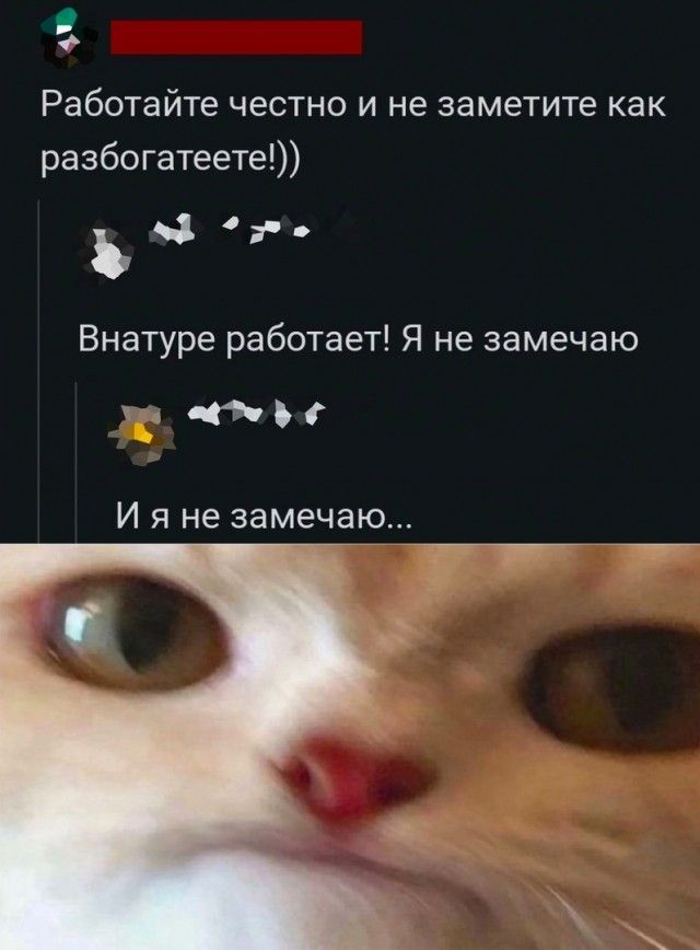 1 Работайте честно и не заметите как разбогатеете ЧЁ Внатуре работает Я не замечаю та 05 И я не замечаю