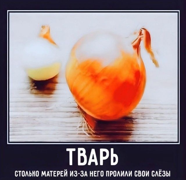 ТВАРЬ СТПМШ МАТЕРЕЙ ИЗЗА ИЕП ПРПАИАИ ПИИ БАЁЗМ