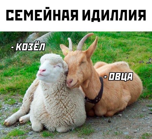 вмвиндя идиллия У