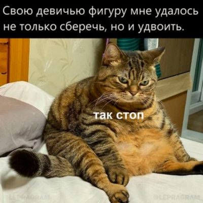 Свою девичью фигуру мне удалось не только сберечь но и удвоить